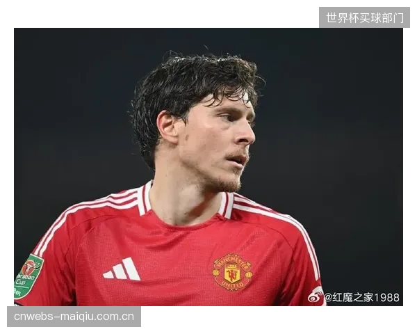 林德洛夫的防守选位，对于弥补边后卫助攻后留下的身后空档至关重要。